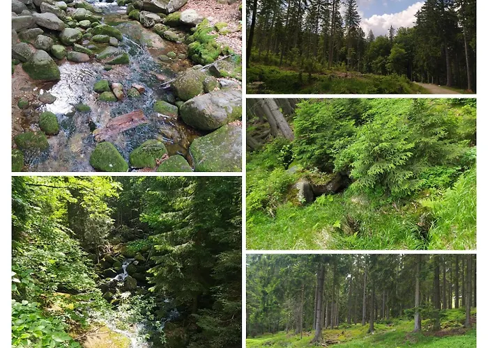 Na Malej Daire Szklarska Poreba