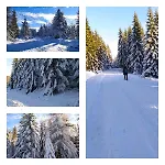 Lägenhet Na Malej *