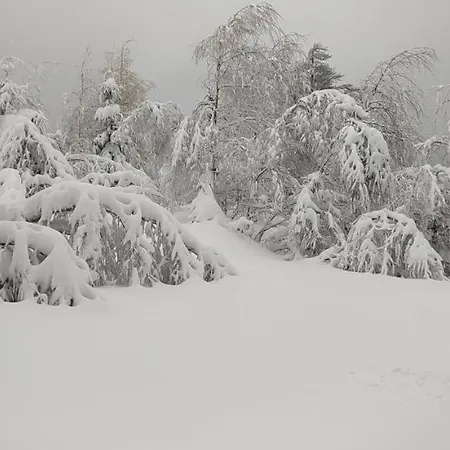 Apartment Na Malej *