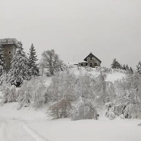 Apartment Na Malej *