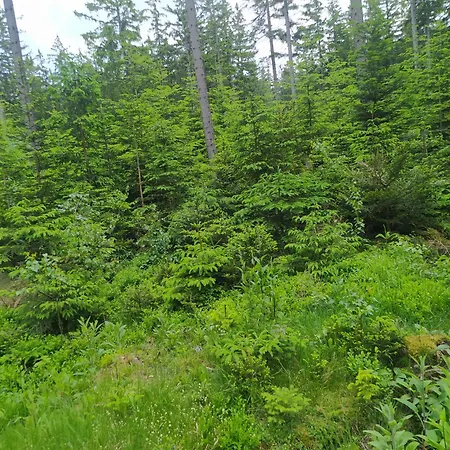 Apartment Na Malej *