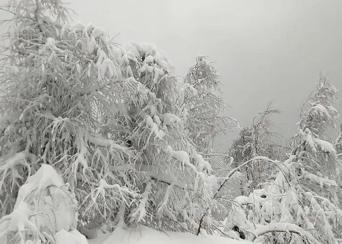 Apartment Na Malej Schreiberhau