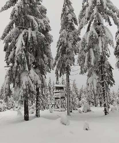 Na Malej שצ'קלארסקה פוראובה